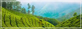 Munnar
