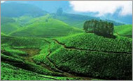 Amazing Kerala