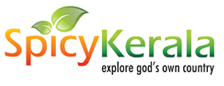 spicykerala.com
